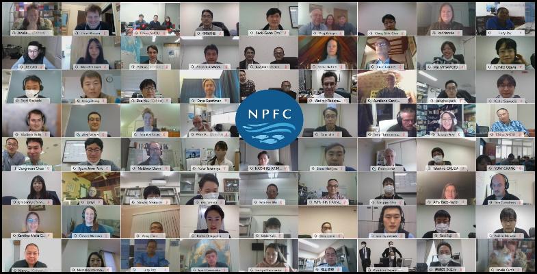NPFC Scientific Committee concludes virtual meetings