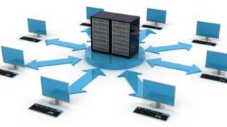 Data Coordinator