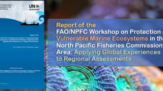 Report of the FAO/NPFC Workshop on Protection of VMEs in the NPFC Area