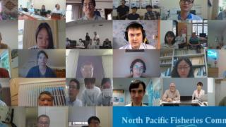 NPFC SC Intersessional Meeting web conference 