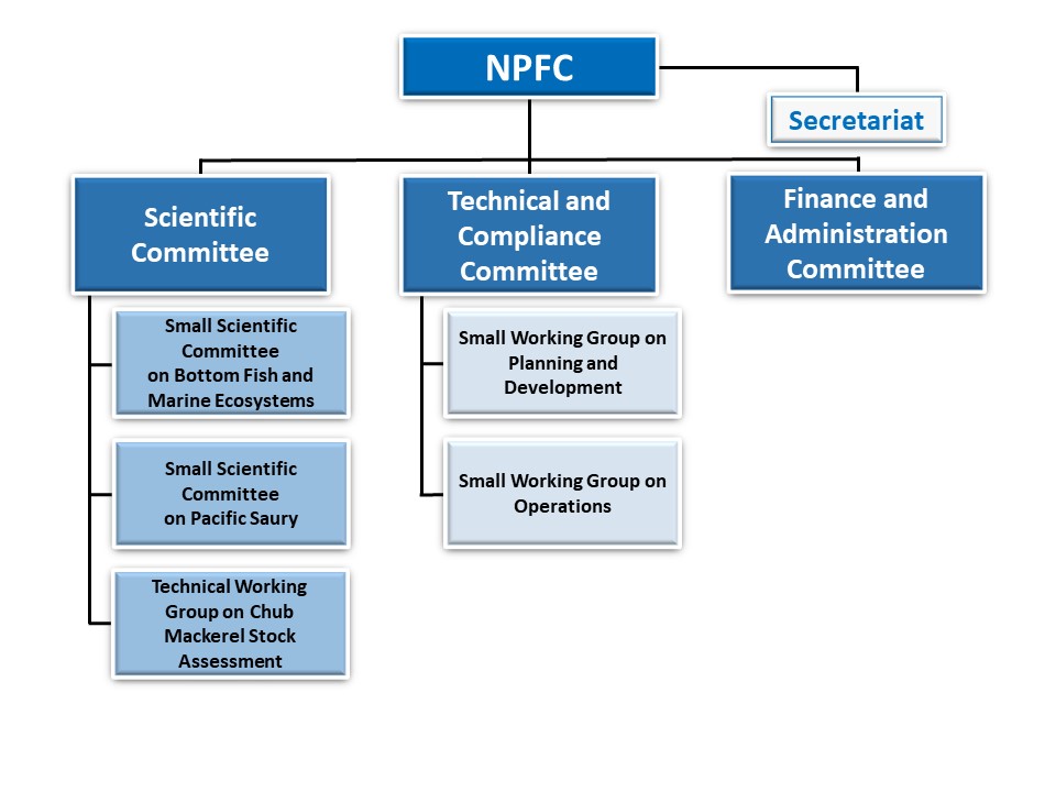 NPFC structure