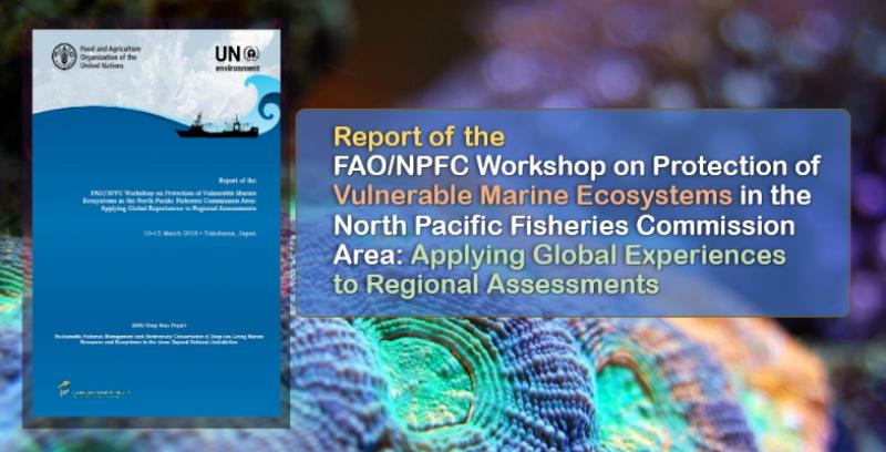 Report of the FAO/NPFC Workshop on Protection of VMEs in the NPFC Area